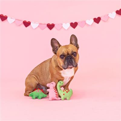 You Are Dino-mite Small Plush Dog Toys Set of 3