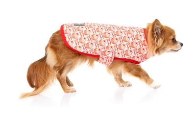 Wrap Vest - Hey There Sweetie