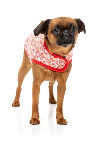 Wrap Vest - Hey There Sweetie