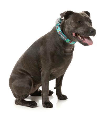 Gor-illz - Collar and Lead Collection