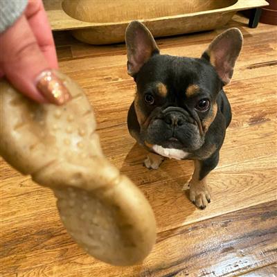 Tall Tails Rock'n Chew Dog Toy