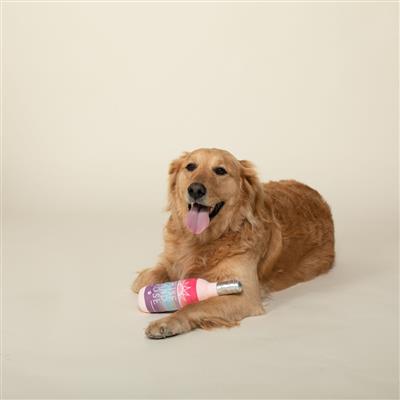 Rise And Rosé Plush Dog Toy