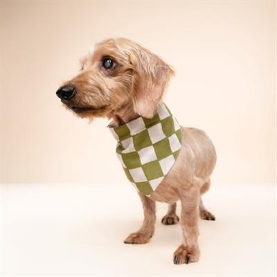 Checkmate Dog Bandana