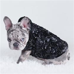 Extra Product Image