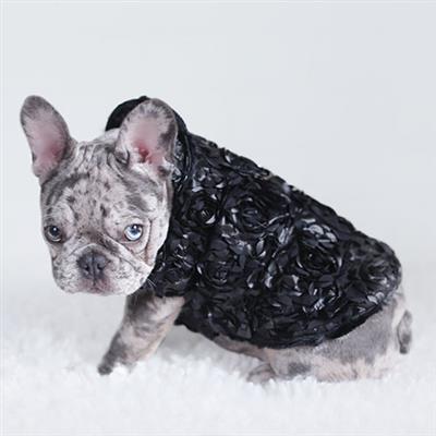 Victorian Dog Coat: Black