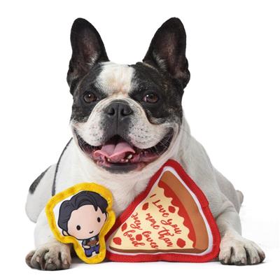FRIENDS: "JOEY LOVES FOOD" Canvas Squeaker Pet Toy Set
