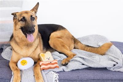 Barkfast Dog Toys, Set of 3