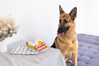 Barkfast Dog Toys, Set of 3