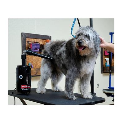Airforce Hands-Free Dryer by Metrovac