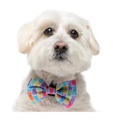 NEW '23 PEEPS - VELCRO BOW TIE