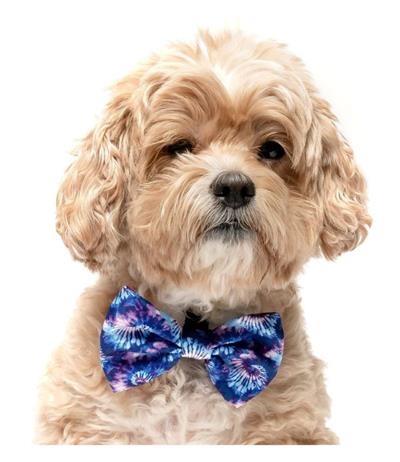 ROYAL BLUE AND PURPLE TIE DYE - VELCRO BOW TIE