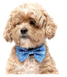 BLUE SPRINKLES- VELCRO BOW TIE