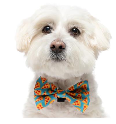 TEAL PIZZA  - VELCRO BOW TIE