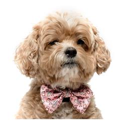 COFFEE  - VELCRO BOW TIE