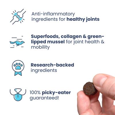 Healthybud's Functional Beef Joint Booster Dog Treats 4.6oz/14.1oz