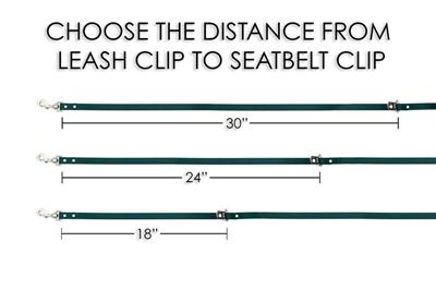 Seat Belt Dog Leash - Waterproof Biothane Car Dog Lead