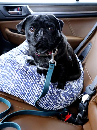 Seat Belt Dog Leash - Waterproof Biothane Car Dog Lead