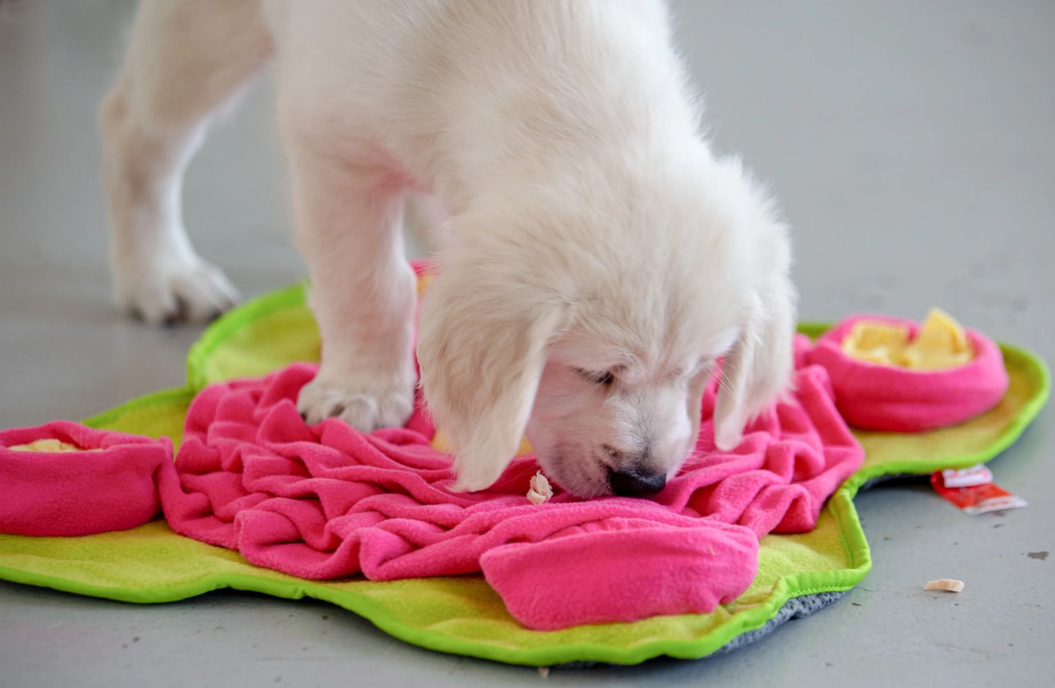 Four Leaf Snuffle Mat