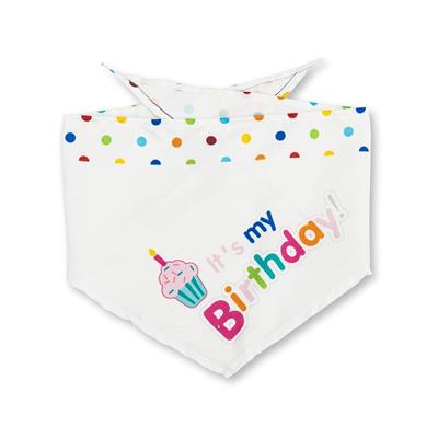 4-Piece Dog Birthday Kit: Bandana, Hat, Bow Tie, Plush Toy