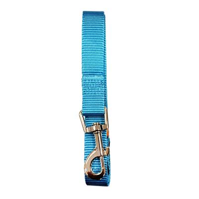 Padded Grip Dog Leash (5ft) - Light Blue