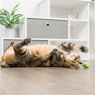 Santa Hat & Sweet Thing Candy 2pk Plush Cat Toy