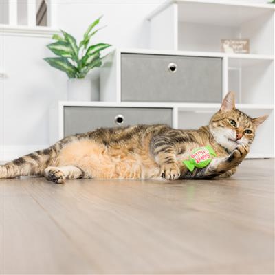 Santa Hat & Sweet Thing Candy 2pk Plush Cat Toy