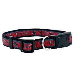 TAMPA BAY BUCCANEERS SATIN COLLAR