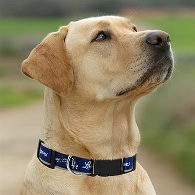 LOS ANGELES DODGERS SATIN COLLAR
