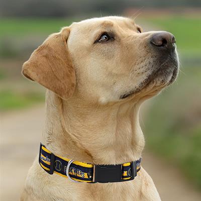 MILWAUKEE BREWERS SATIN COLLAR