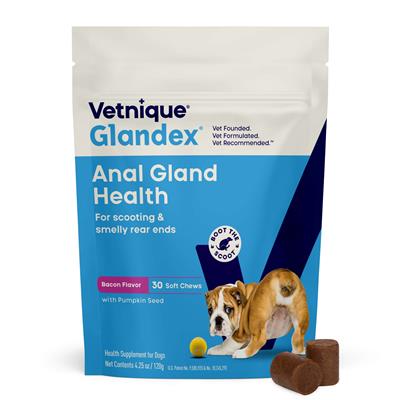 Glandex Anal Gland Support Soft Chews - Bacon and Pumpkin Flavor 30 ct.