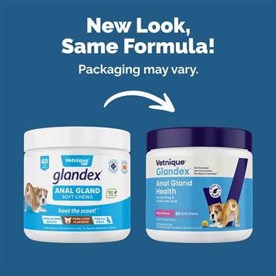 Glandex Anal Gland Support Soft Chews - Bacon and Pumpkin Flavor 60 ct.