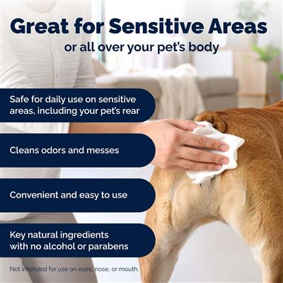 Glandex Rear End Pet Wipes Cannister