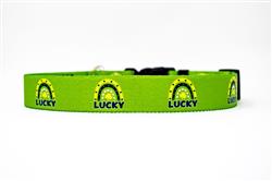 Lucky Rainbow Collar & Lead Collection