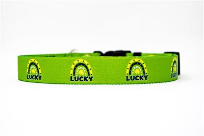 Lucky Rainbow Collar & Lead Collection