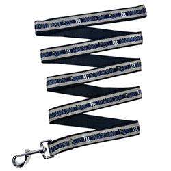 TAMPA BAY RAYS SATIN LEASH
