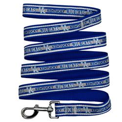 KENTUCKY SATIN LEASH