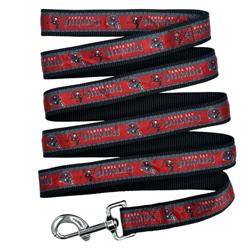 TAMPA BAY BUCCANEERS SATIN LEASH