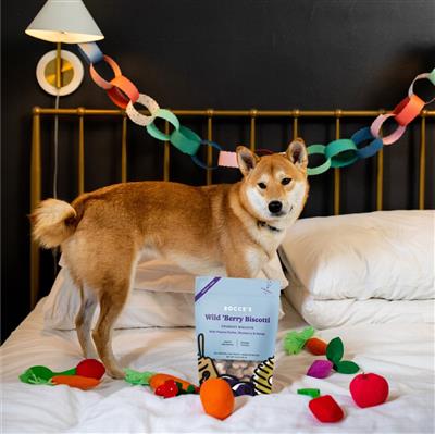 Bocce's Bakery Wild 'Berry Biscotti Small Batch Biscuits