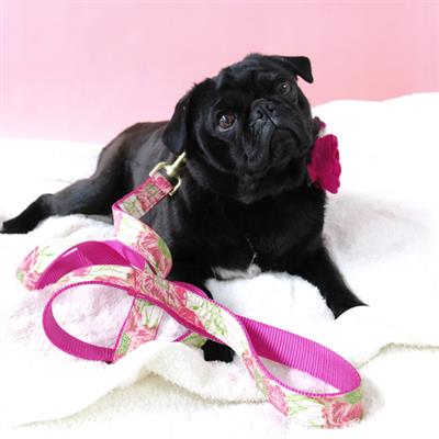 'Audrey' Vibrant Pink Floral Cotton Voile Dog Collars & Leashes