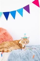 Extra Product Image
