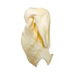 Extra Product Image