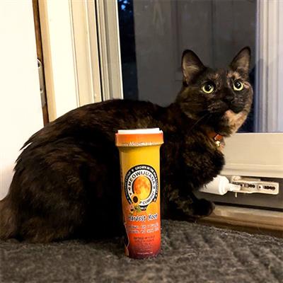 Meowijuana® - Get Spooked Pumpkin and Harvest Moon Clip Strip