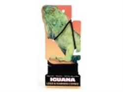 Coastal Small Animal Lead and Harness Iguana