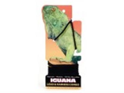 Coastal Small Animal Lead and Harness Iguana