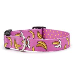 Go Bananas Printed Sport Collars & Leads