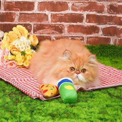 Kitten Party — Pizza & Soda