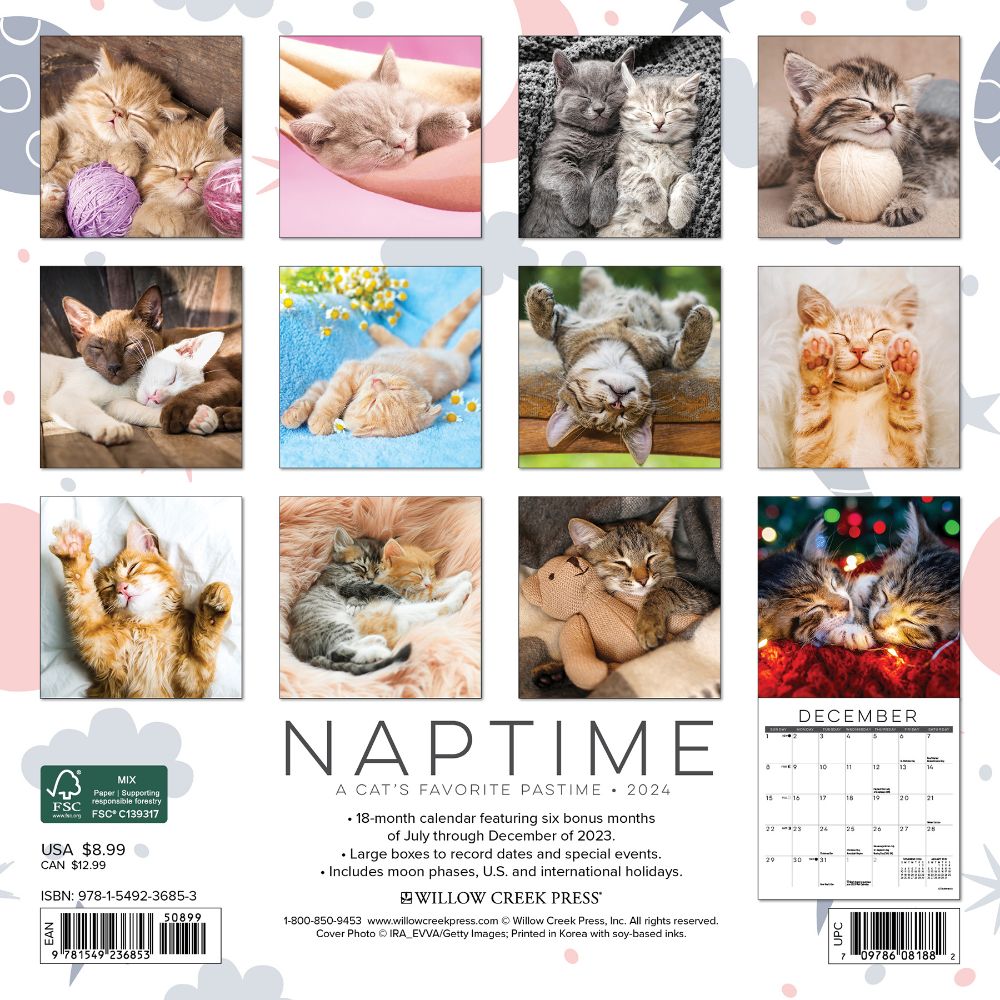 Naptime (Cats) 2024 Mini Calendar