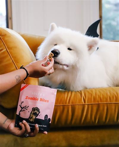 Bocce's Bakery Zombie Bites Soft & Chewy Dog Treats