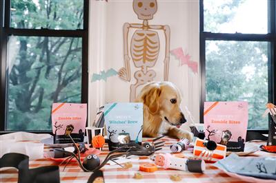 Bocce's Bakery Zombie Bites Soft & Chewy Dog Treats