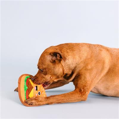 Say Cheese! Plush Dog Toy